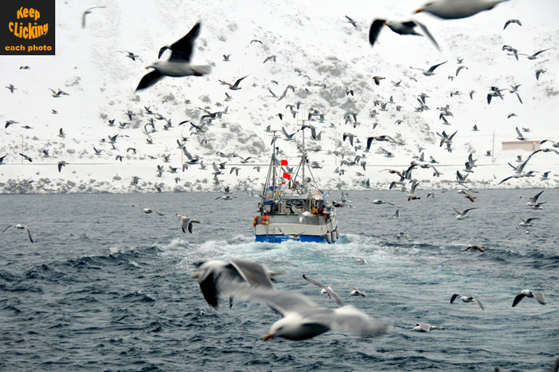 Norway, Sweeden, Finland, Scandinavia